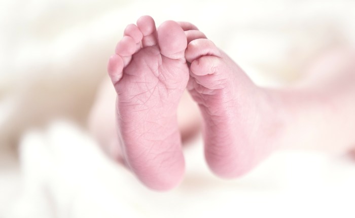 Why arguments against infanticide remain&nbsp;convincing